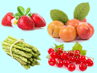 Jeu en ligne gratuit - Fruits et légumes